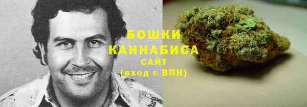 твердый Богородицк
