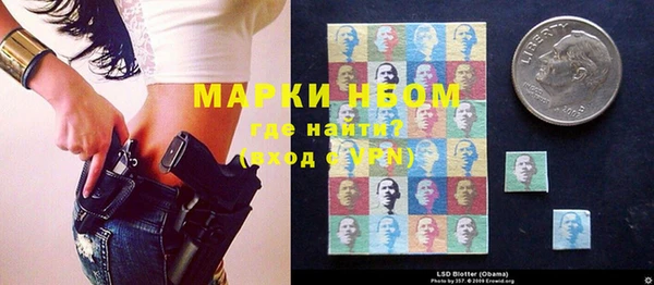 твердый Богородицк